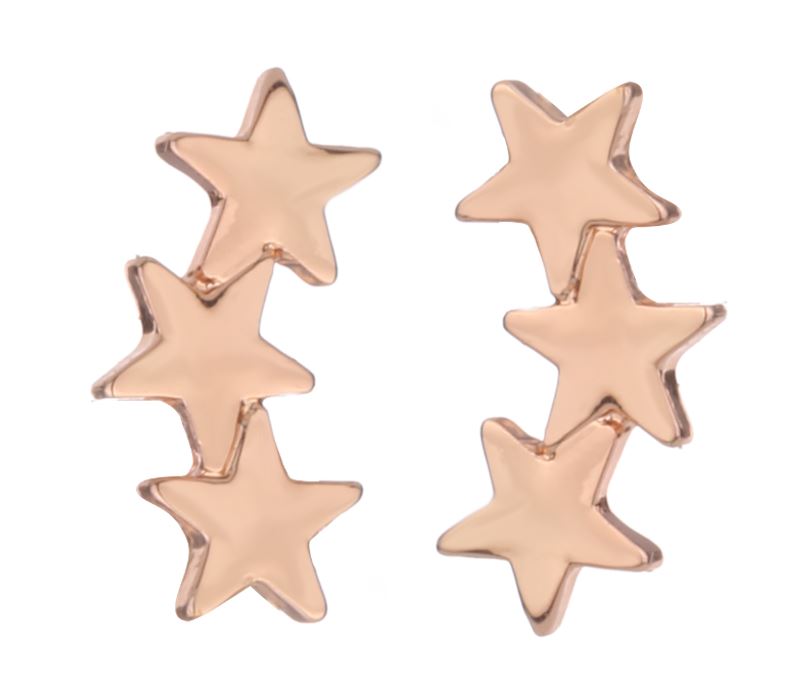 Delicate Ears Star Earring