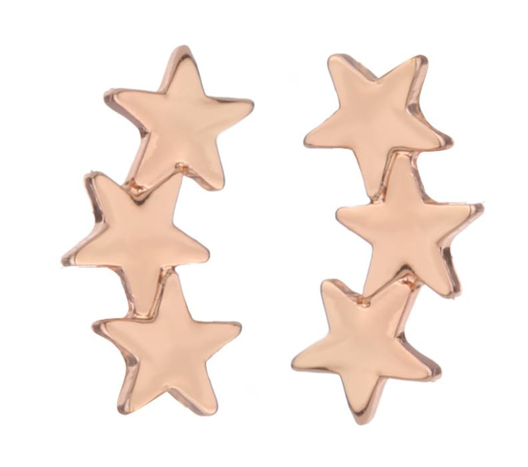 Delicate Ears Star Earring